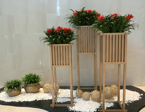 朝陽(yáng)區(qū)綠植租擺